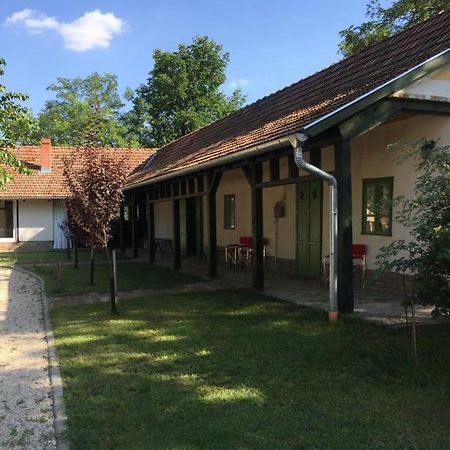 Farm House Domaszék Εξωτερικό φωτογραφία